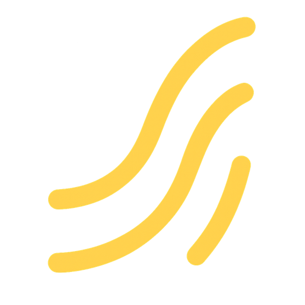 NNSFlow